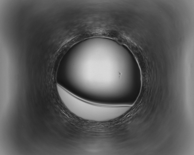 X0000087311206200704200711
