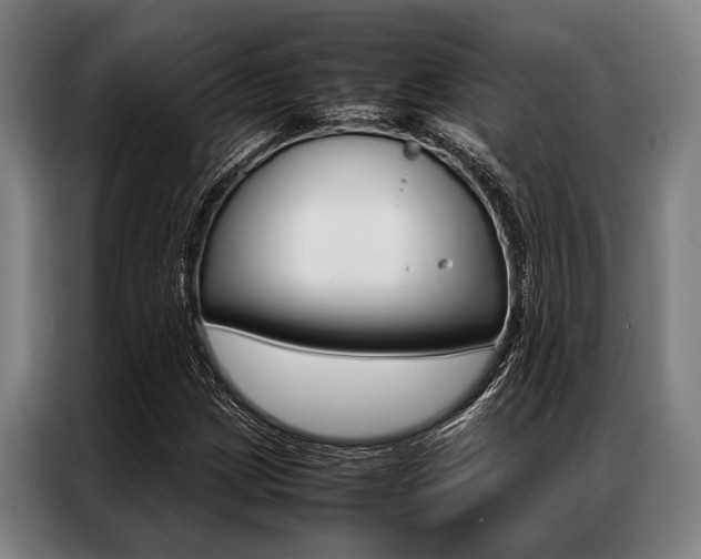 X0000087311209200704200711
