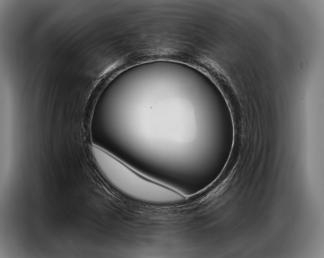 X0000087311210200704200711
