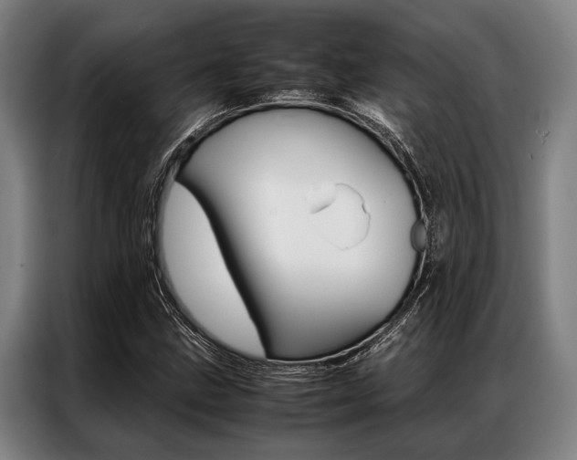X0000087311211200704200711