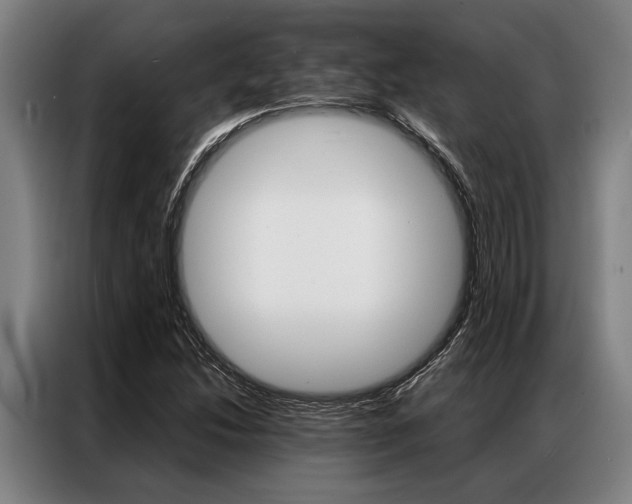 X0000087311214200704200711