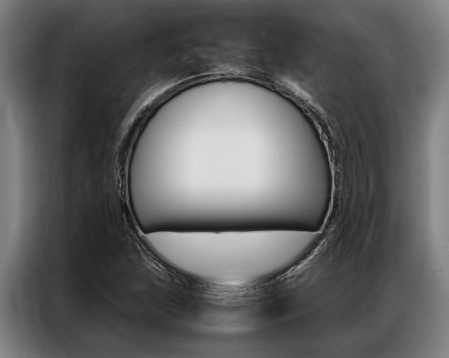 X0000087311215200704200711