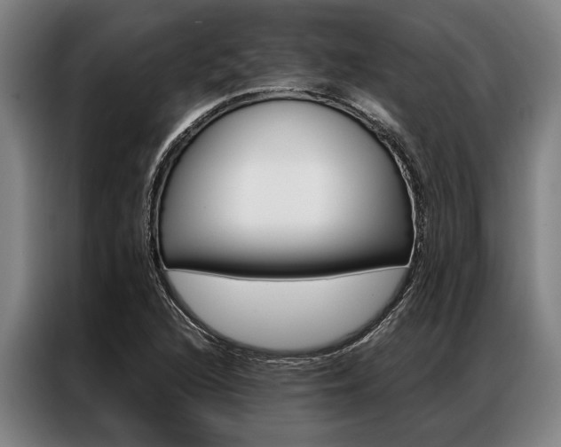 X0000087311216200704200711