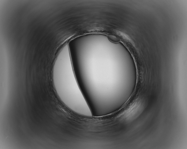 X0000087311217200704200711
