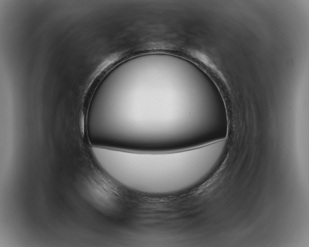 X0000087311221200704200711