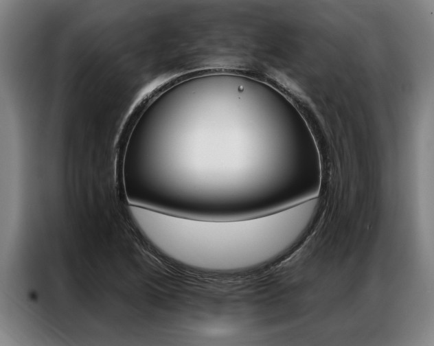X0000087311222200704200711