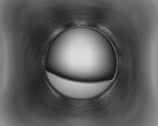 X0000087311225200704200711