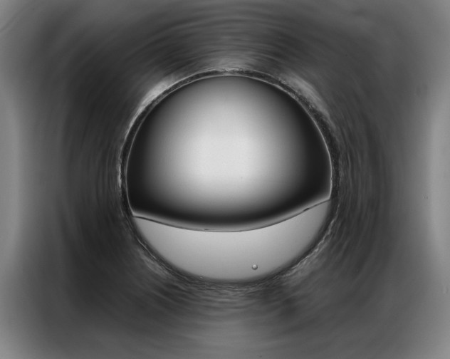 X0000087311226200704200711