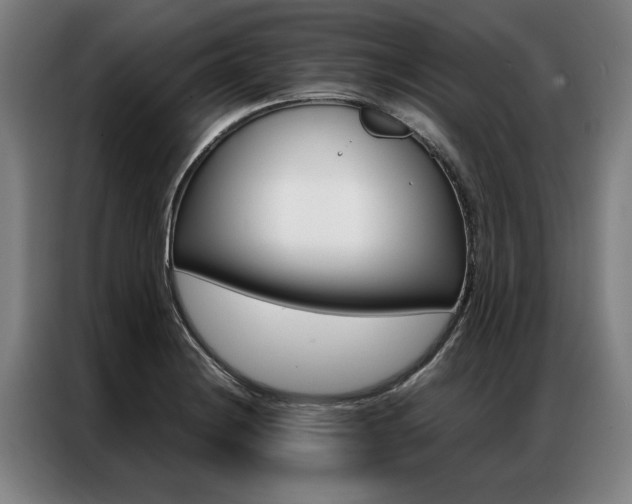 X0000087311228200704200711