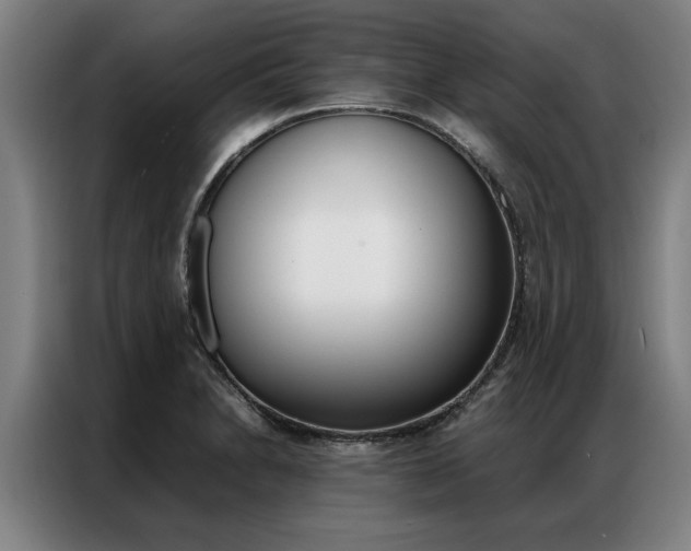X0000087311230200704200711