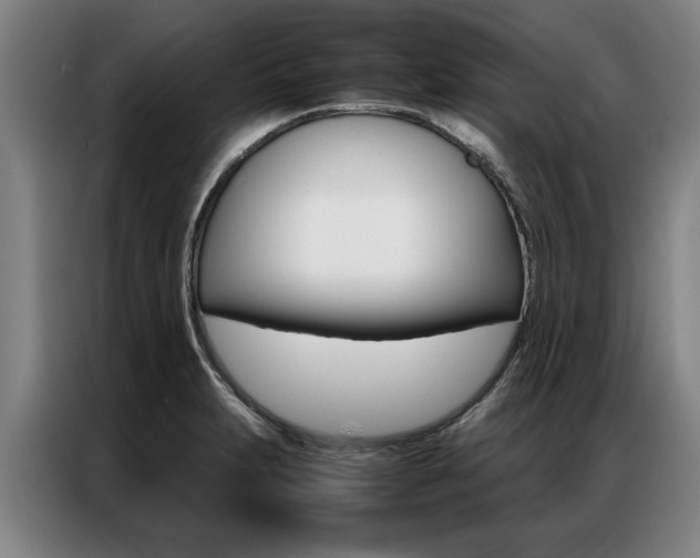 X0000087311231200704200711