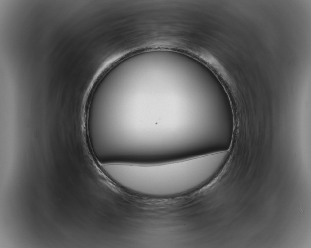 X0000087311232200704200711