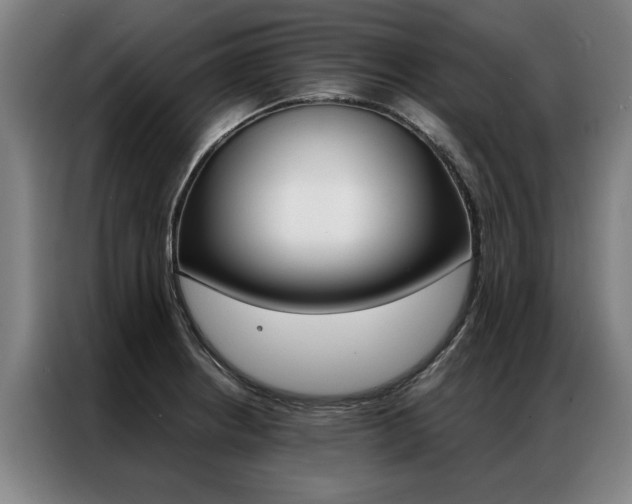 X0000087311234200704200711