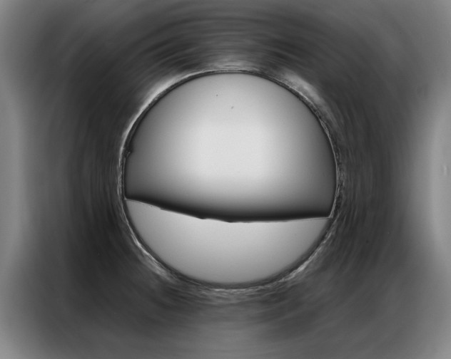 X0000087311236200704200711
