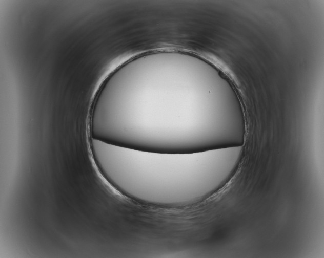 X0000087311239200704200711