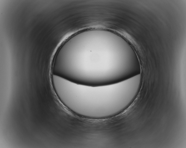 X0000087311240200704200711