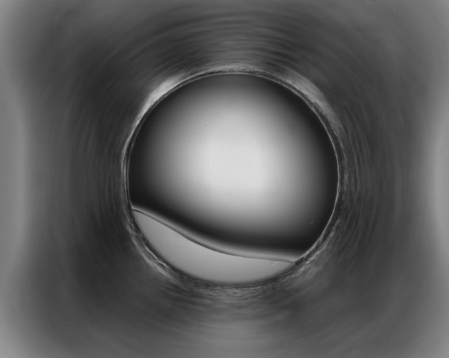 X0000087311242200704200711