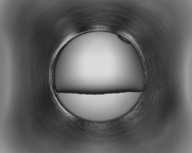 X0000087311243200704200711