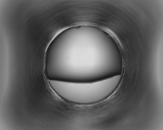 X0000087311244200704200711