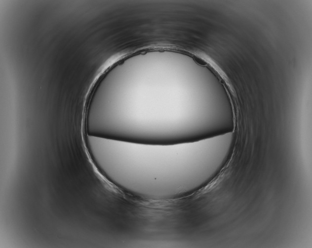 X0000087311245200704200711
