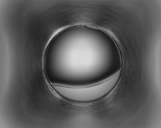 X0000087311246200704200711