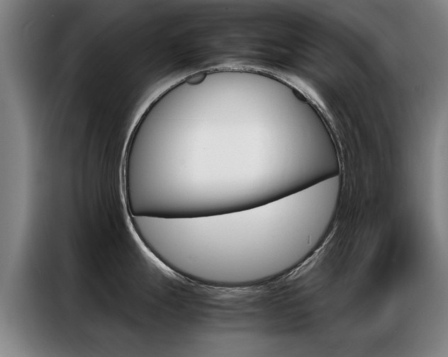 X0000087311247200704200711