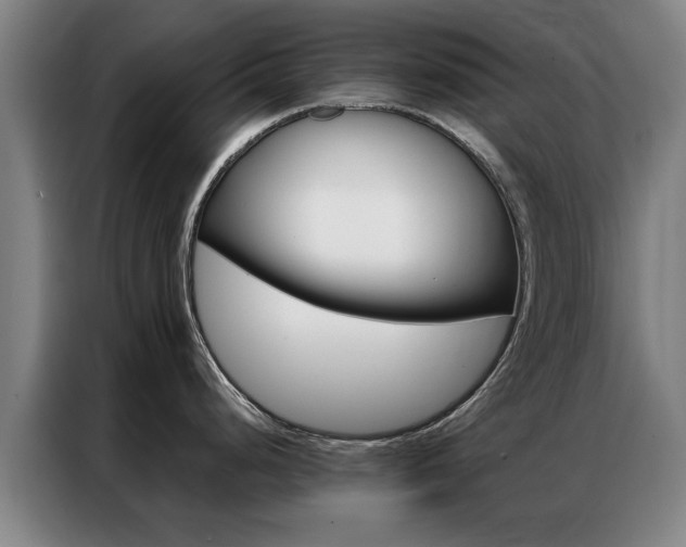 X0000087311248200704200711