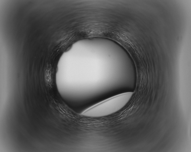 X0000087311250200704200710
