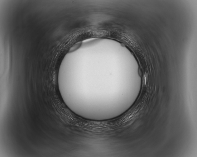 X0000087311251200704200710