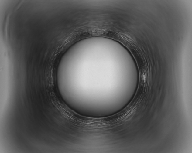 X0000087311252200704200710