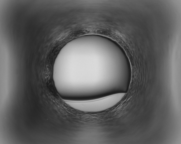 X0000087311253200704200710
