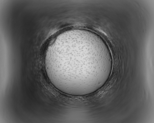 X0000087311255200704200710