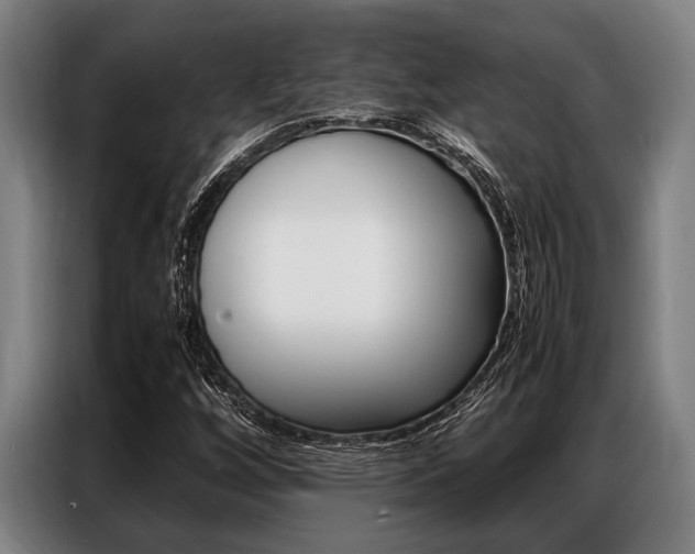 X0000087311256200704200710