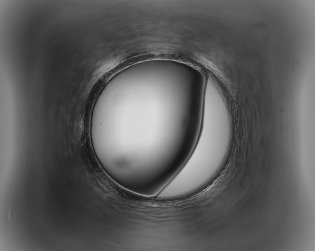 X0000087311261200704200710