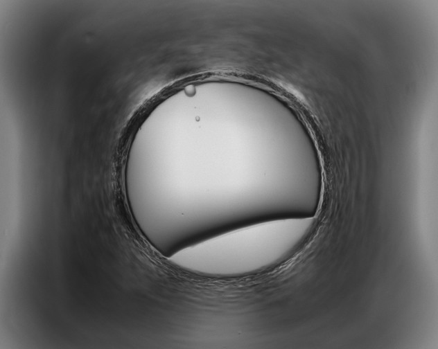 X0000087311263200704200710