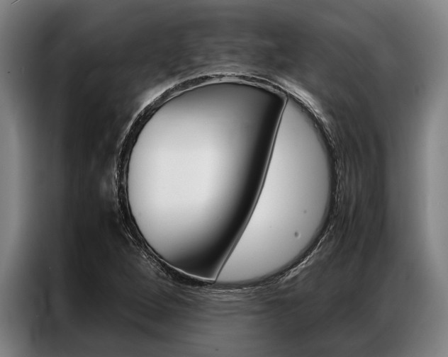 X0000087311264200704200710