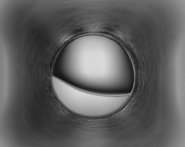 X0000087311265200704200710