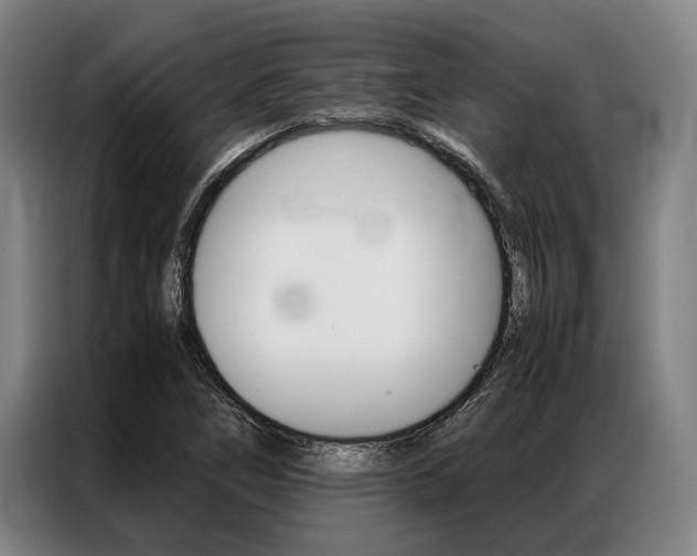 X0000087311266200704200710