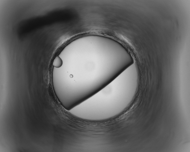X0000087311267200704200710