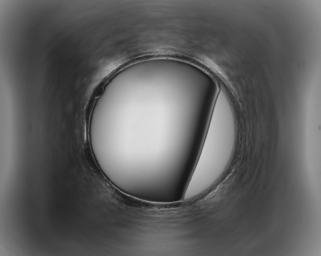 X0000087311269200704200710