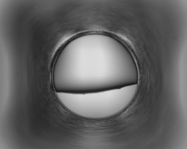 X0000087311271200704200710