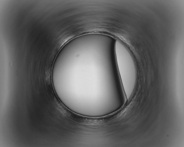 X0000087311273200704200710