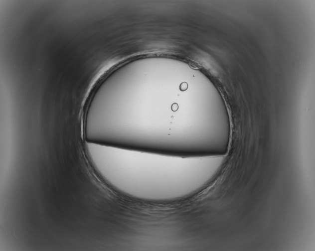 X0000087311275200704200710
