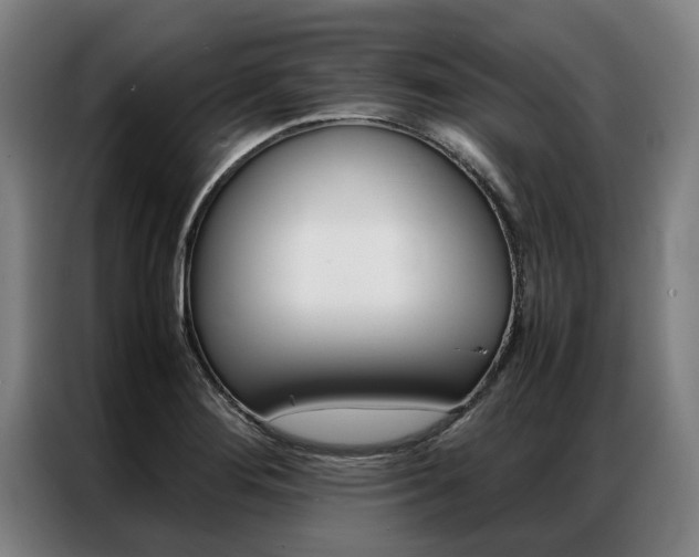 X0000087311276200704200710