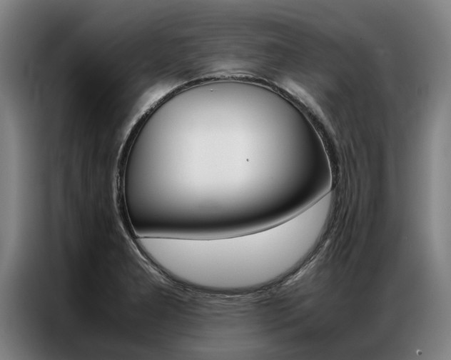 X0000087311277200704200710
