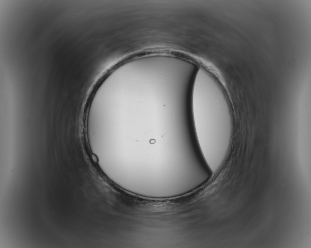 X0000087311279200704200710