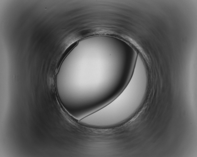 X0000087311281200704200710