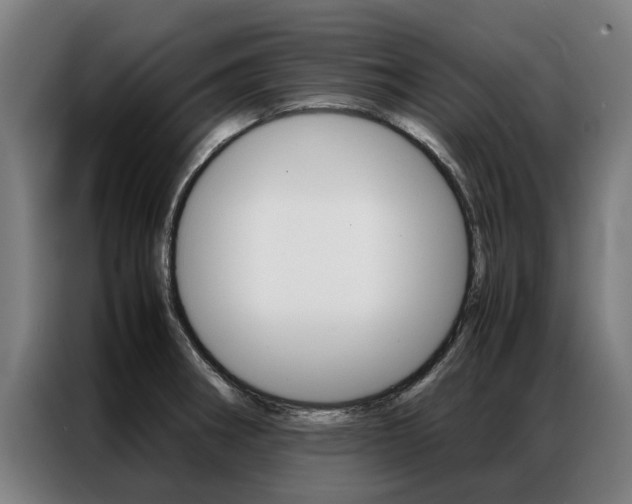 X0000087311282200704200710
