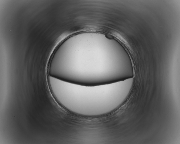 X0000087311283200704200710