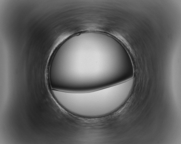 X0000087311285200704200710